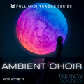 Ambient Choir Vol 1