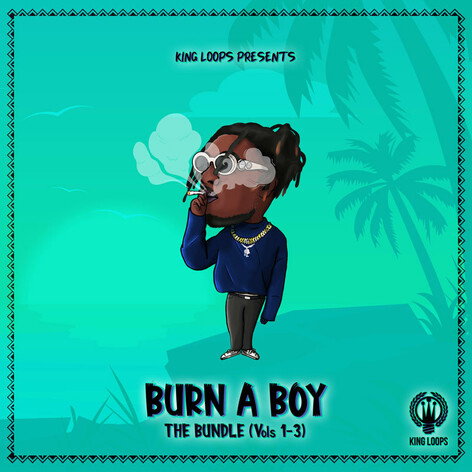 Burn A Boy Bundle (Vols 1-3)