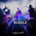 Pro Instruments Bundle (22,000 Loops)