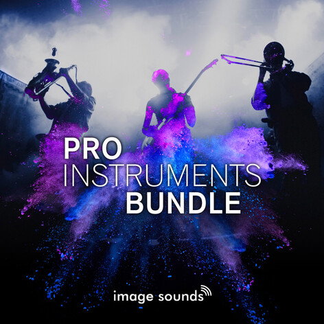 Pro Instruments Bundle (22,000 Loops)